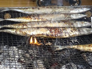 焼き立てのさんまは格別です