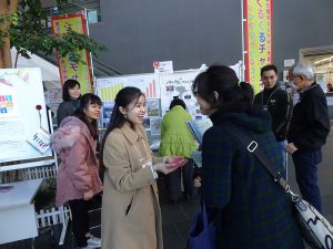 緑豆のお菓子をどうぞ